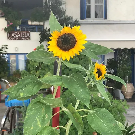 Apartamento Casa Lela 3...hydra *