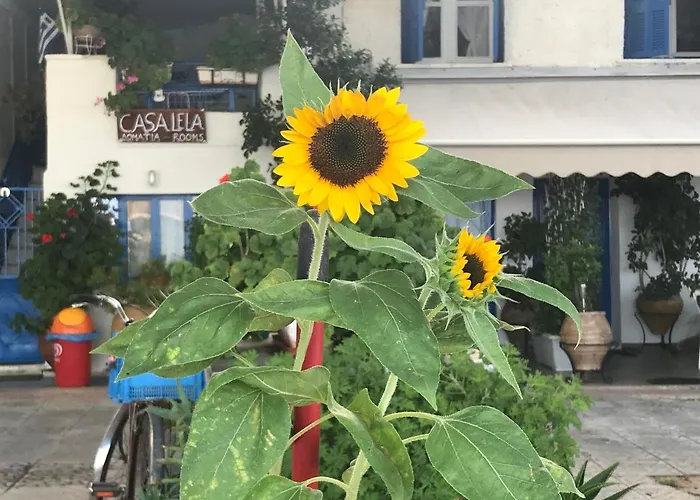 Apartamento Casa Lela 3...hydra *