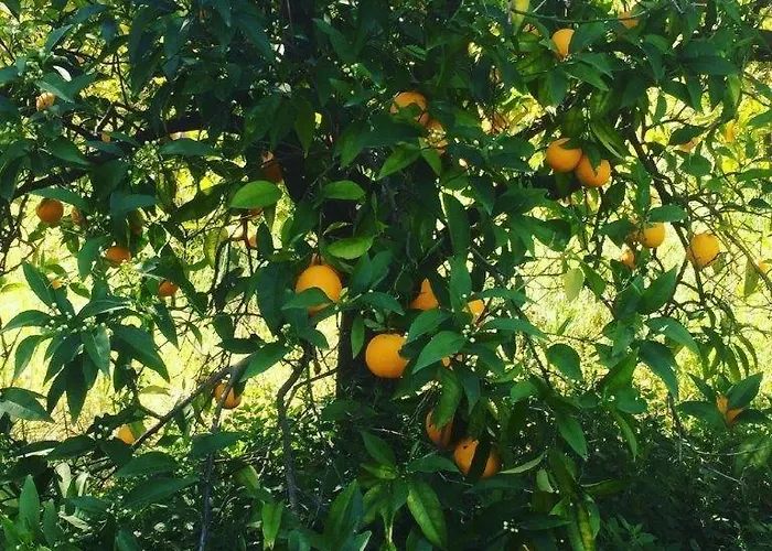 Casa Lela 3...hydra Appartement